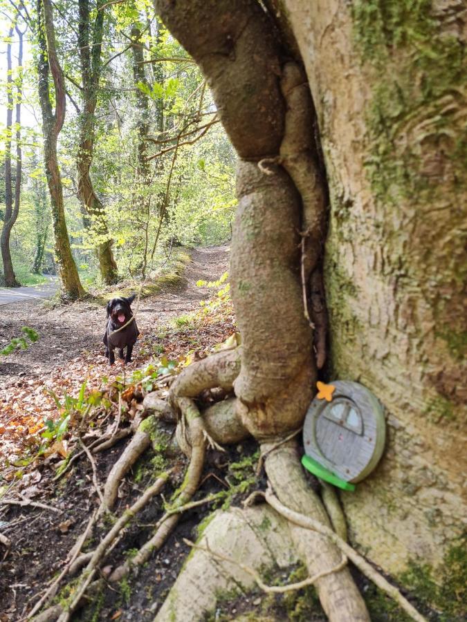 Old Road Cottage Pet Friendly Outdoors Beaches Neath Buitenkant foto