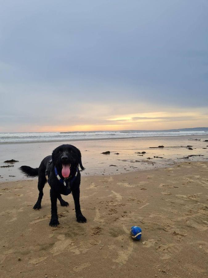 Old Road Cottage Pet Friendly Outdoors Beaches Neath Buitenkant foto